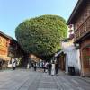 comment-small-img