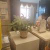 comment-small-img
