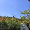 comment-small-img