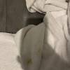 comment-small-img