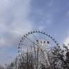 comment-small-img