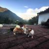 comment-small-img