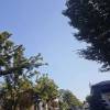 comment-small-img