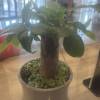 comment-small-img