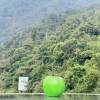 comment-small-img