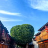 comment-small-img