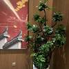comment-small-img