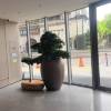 comment-small-img