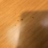 comment-small-img