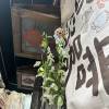 comment-small-img