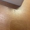 comment-small-img