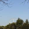 comment-small-img