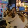 comment-small-img