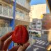 comment-small-img
