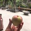 comment-small-img