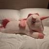 comment-small-img