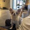 comment-small-img