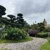 comment-small-img