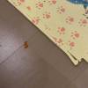 comment-small-img