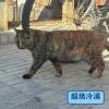 comment-small-img