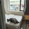 comment-small-img