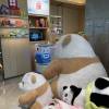 comment-small-img