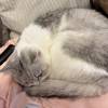 comment-small-img