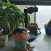 comment-small-img
