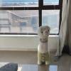 comment-small-img