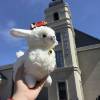 comment-small-img