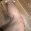 comment-small-img
