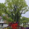 comment-small-img
