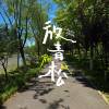 comment-small-img