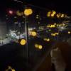 comment-small-img