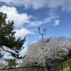 comment-small-img