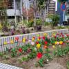 comment-small-img