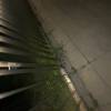 comment-small-img