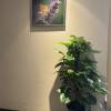 comment-small-img