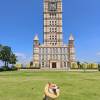 comment-small-img