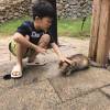 comment-small-img