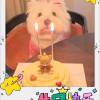 comment-small-img