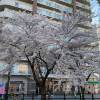comment-small-img