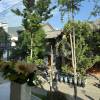 comment-small-img