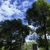 comment-small-img