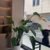 comment-small-img