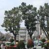 comment-small-img