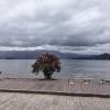 comment-small-img