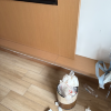 comment-small-img