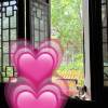 comment-small-img