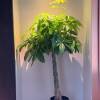 comment-small-img
